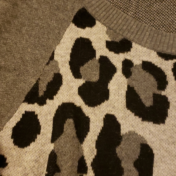 Express Sweater - Picture 3 of 3